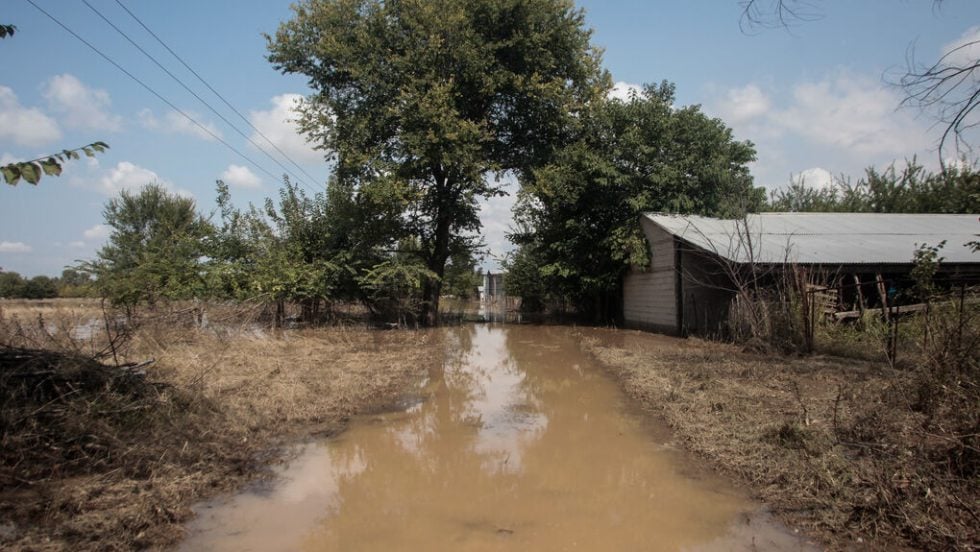 megala kalivia-trikala